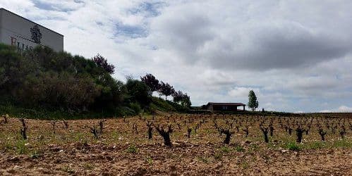 Bodegas Elías Mora 