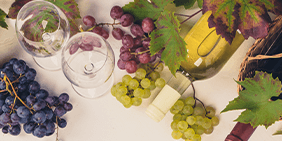 Organic Wines