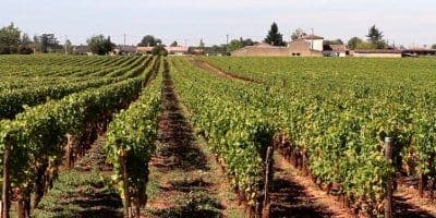 Château Doisy-Védrines