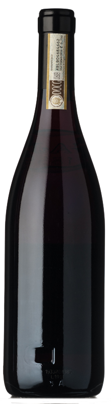 Gaja Barbaresco 2016 - Buy Red Wine - Barbaresco - Angelo Gaja